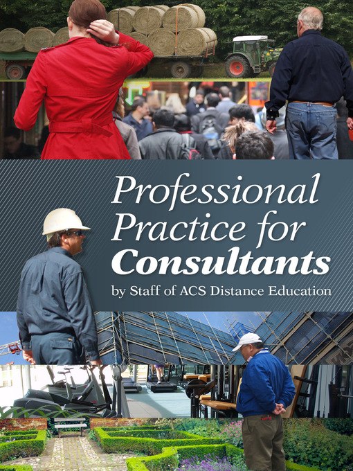 Cover image for Professional Practice for Consultants